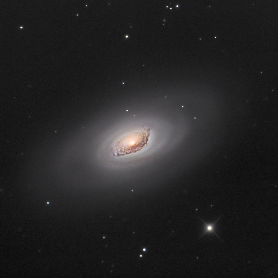 Amateur - Carsten DoscheSchwarzes Auge M64