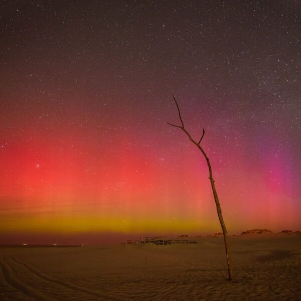 Faszination Borkum-Beitragsbild